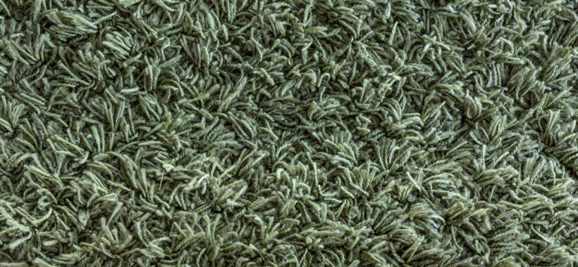 Carpet Flooring Installation in Sarasota