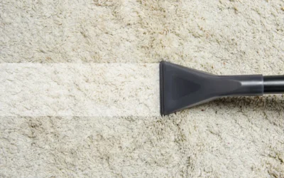 Carpet Cleaning & Stain Removal: What Actually Works