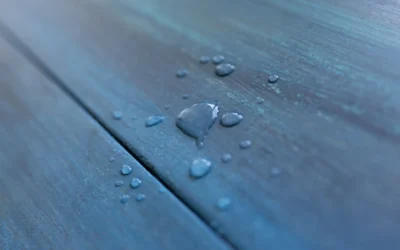What Is the Best Flooring for a House in Florida?