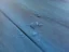 Water droplets beading on a blue waterproof wood-look plank floor