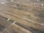 Wood-look plank flooring laid with white spacers during installation in a Sarasota home